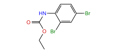 Ethyl 2,4-dibromophenylcarbamate